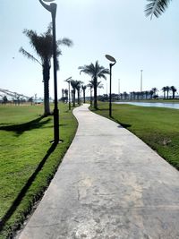 Footpath amidst palm trees in park against sky