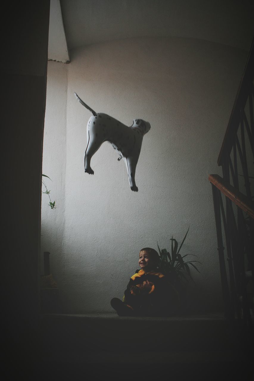 indoors, animal themes, one animal, wall - building feature, silhouette, illuminated, shadow, no people, night, window, full length, built structure, animal representation, flooring, sunlight, low angle view, architecture, home interior, dark, floor