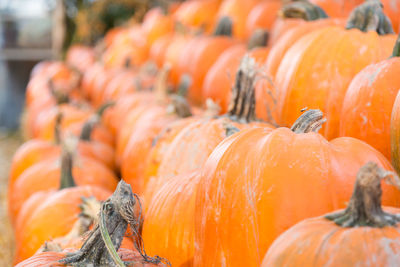 Close-up of pumpkins for sale at market stall