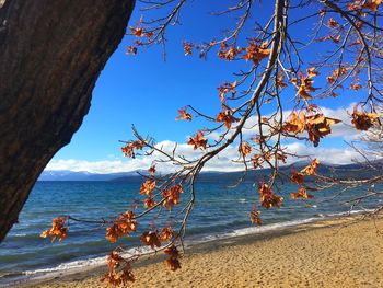 Scenic view of sea against blue sky