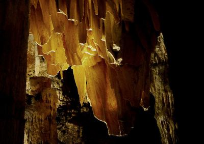 Close-up of cave