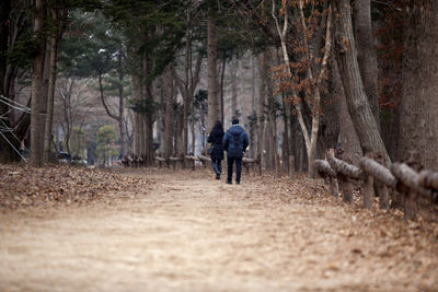 Rear view of man and woman walking on road