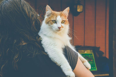 Portrait of cat looking at home