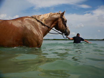Man riding horse in water