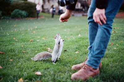 A man feeding a squirrel