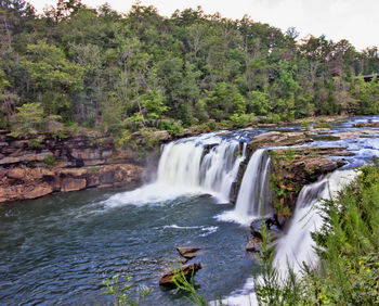 Scenic view of waterfall in forest