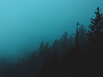 Low angle view of trees against sky