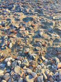 Pebbles on rocks