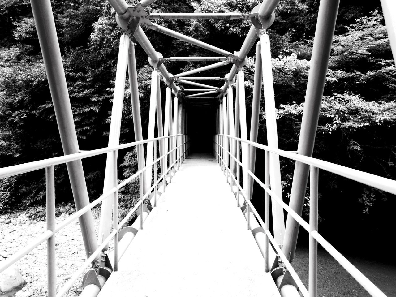 metal, railing, connection, tree, bridge - man made structure, metallic, built structure, transportation, footbridge, day, no people, the way forward, sunlight, outdoors, architecture, engineering, diminishing perspective, empty, bridge, growth