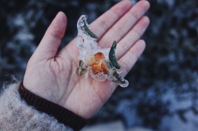 Close-up of hand holding fish