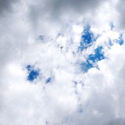 Low angle view of birds flying in sky