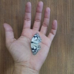 Close-up of human hand on wood