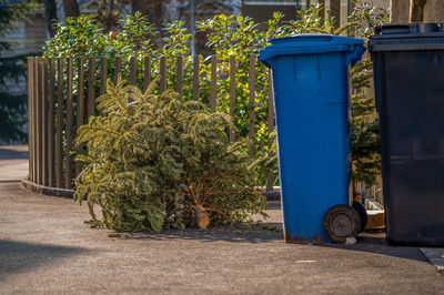 Abandoned christmas trees in the street beside garbage bin after the holidays.