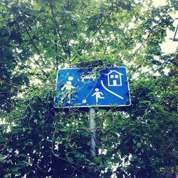 Low angle view of information sign on tree