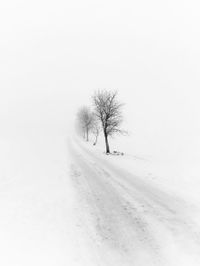 Bare tree on snow covered landscape against clear sky