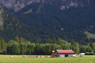 Houses and trees on field by house in forest