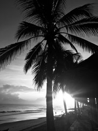 Silhouette palm trees at beach against sky