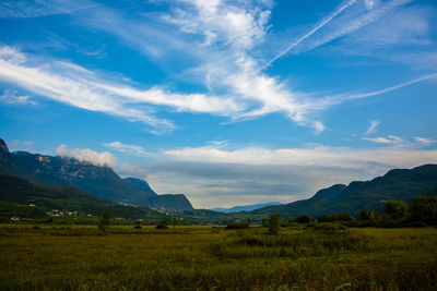 Scenic view of field against sky