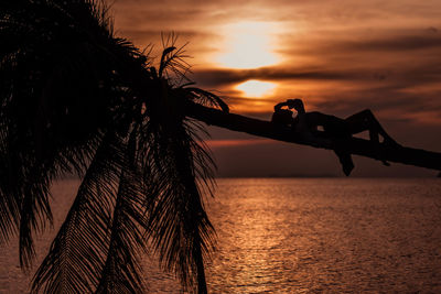 Girl lies on a palm tree at sunset