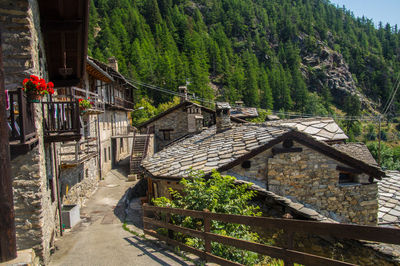 Vedun in val of aoste in italy