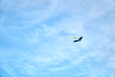 Low angle view of bird flying in sky