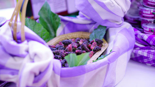 Close-up of purple flowering plant