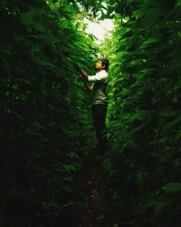 Side view of man standing amidst trees at forest