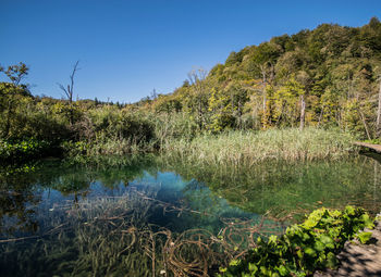 Scenic view of lake against clear blue sky