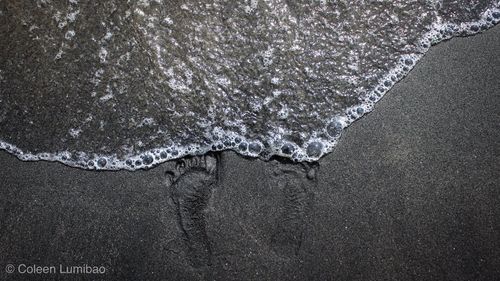 Close-up of frozen water on land