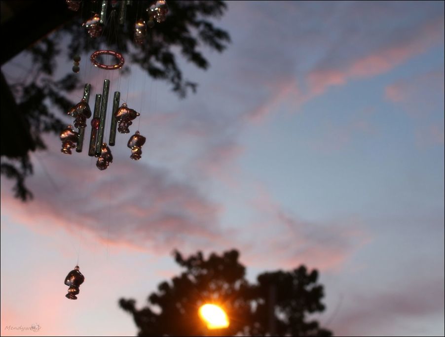 low angle view, sky, sunset, silhouette, cloud - sky, tree, sun, orange color, nature, beauty in nature, street light, outdoors, cloudy, lens flare, flying, cloud, no people, dusk, lighting equipment, sunlight