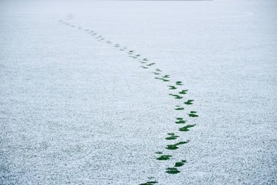 High angle view of footprints on snow