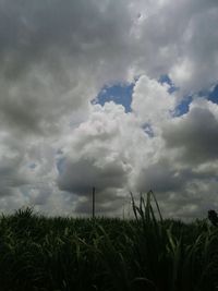 Scenic view of field against cloudy sky