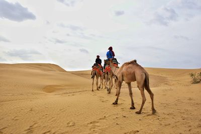 People riding horse on desert