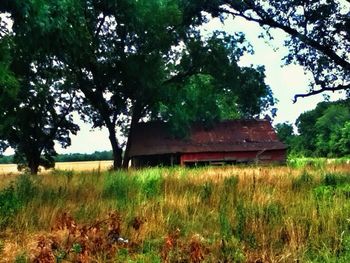 Old house on grassy field