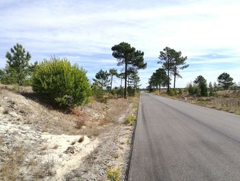 Road amidst trees against sky