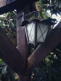 Low angle view of birdhouse on tree