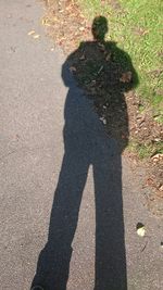 Shadow of man on wall