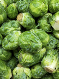 Full frame shot of brussels sprouts