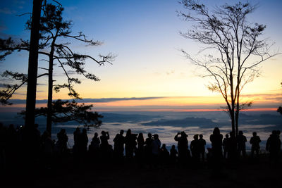 Silhouette people by tree against sky during sunset