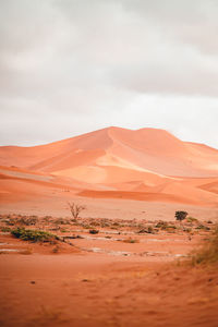 Scenic view of desert against sky