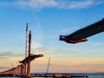 Cranes at sunset