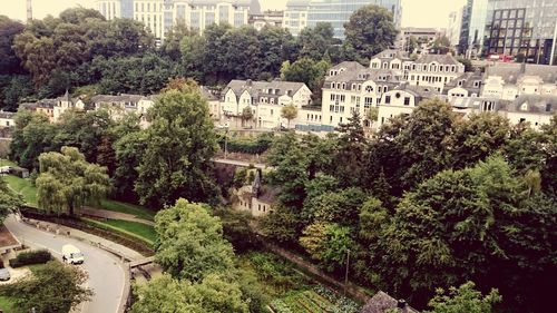 High angle view of trees and buildings in park