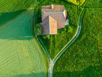 High angle view of man standing on grassy field