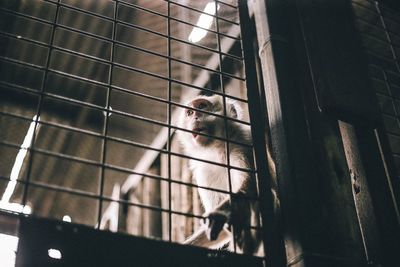 Close-up of person standing by window