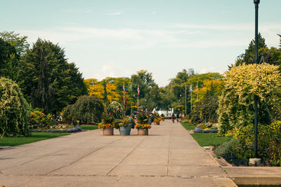 Empty road amidst trees against sky