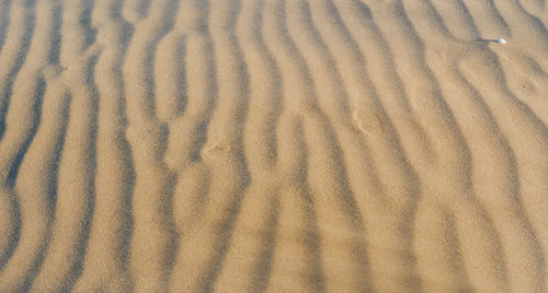 Full frame shot of sand dune