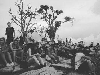 People on tree against sky