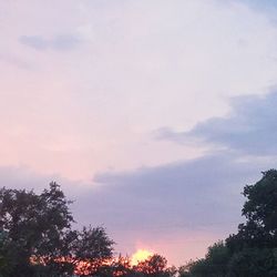 Low angle view of silhouette trees against sky