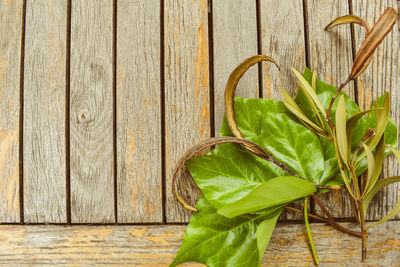 Close-up of leaves on table