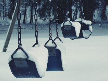 Snow covered trees